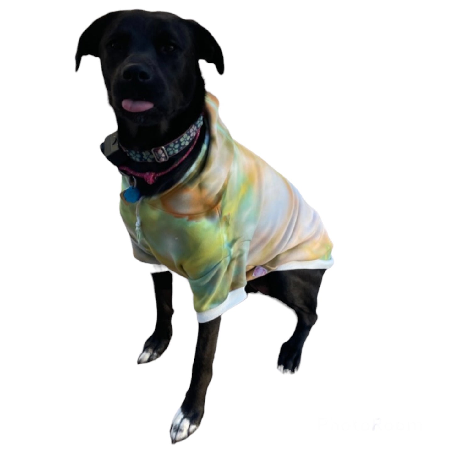 Scrunch Ice Dyed Pet Hoodie