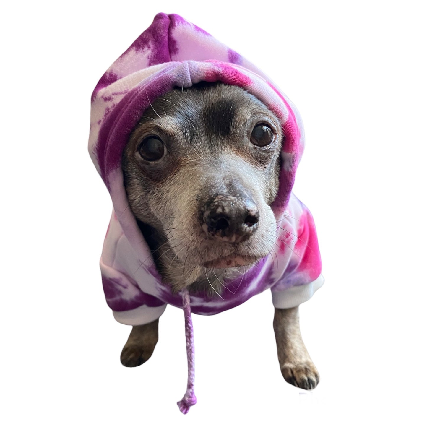 Scrunch Ice Dyed Pet Hoodie