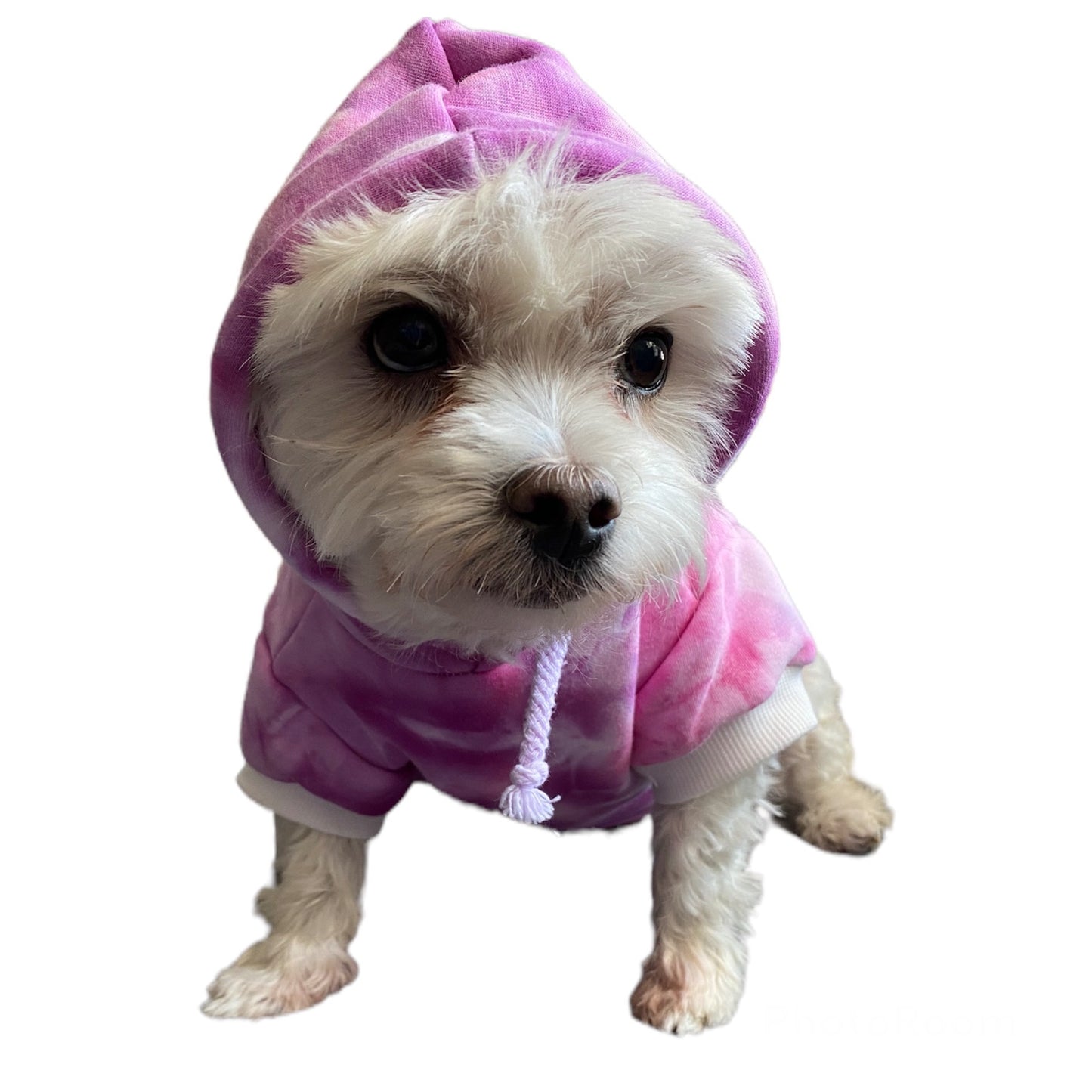 Scrunch Ice Dyed Pet Hoodie