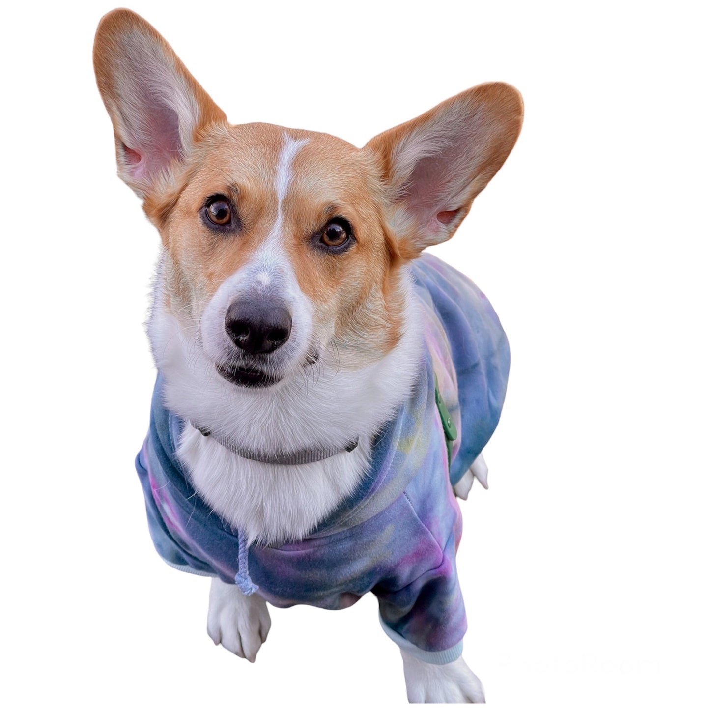 Scrunch Ice Dyed Pet Hoodie